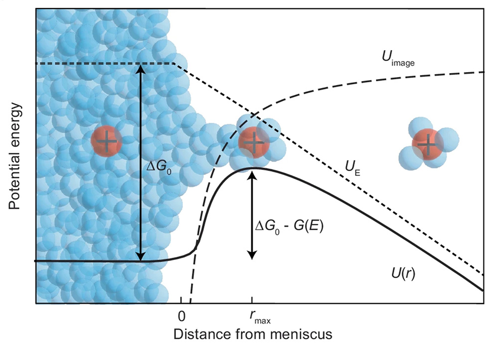 Nanopore Ion Source