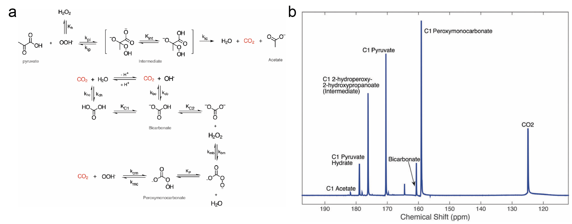 Reaction mechanism diagram