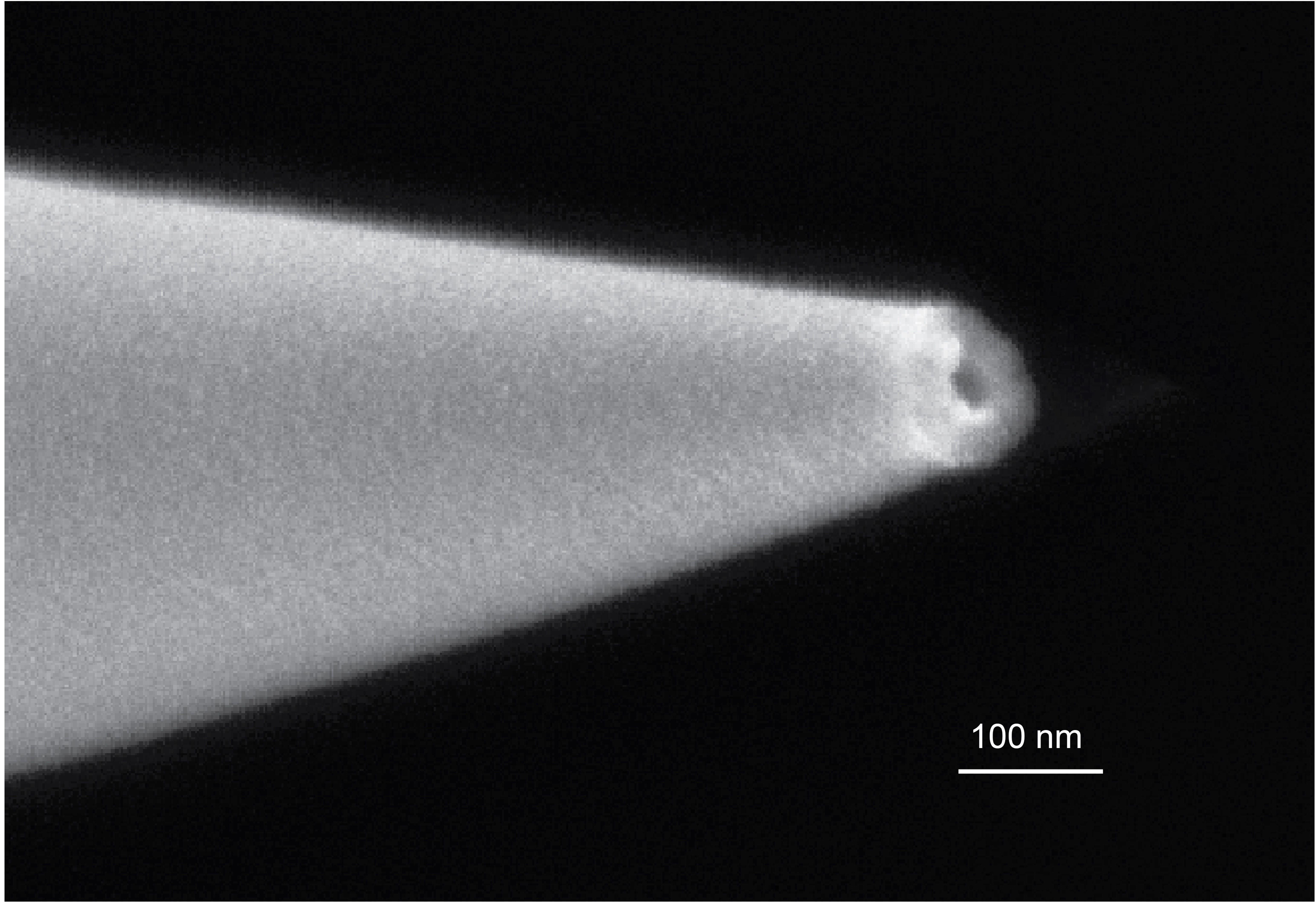 Nanopore Ion Source